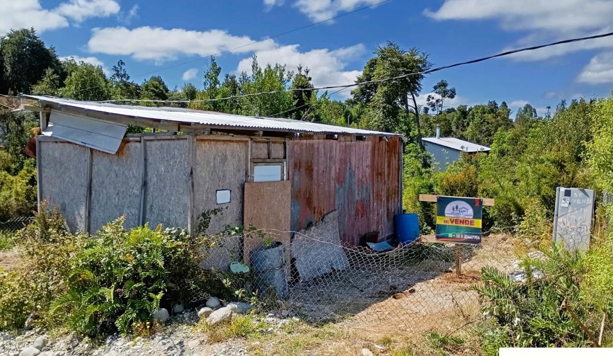 f09d91b2-5d77-49e8-9538-7398ef09d207